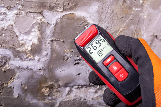 Best Crawl Space Mold Removal  in Booneville, AR