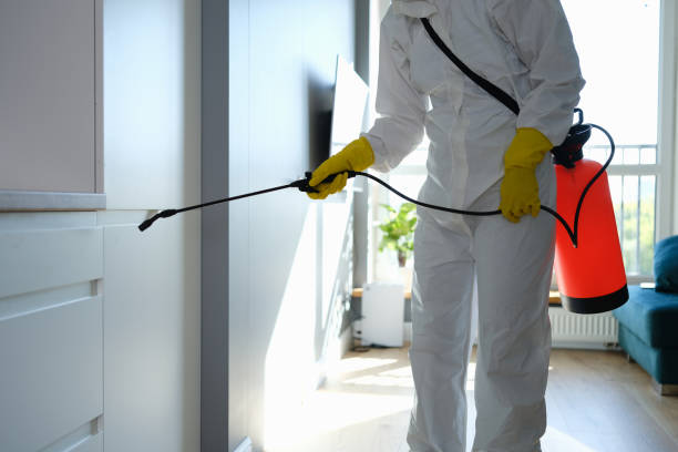 Best Attic Mold Removal  in Booneville, AR
