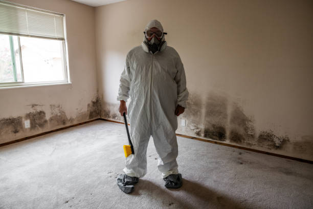 Certified Mold Removal in Booneville, AR
